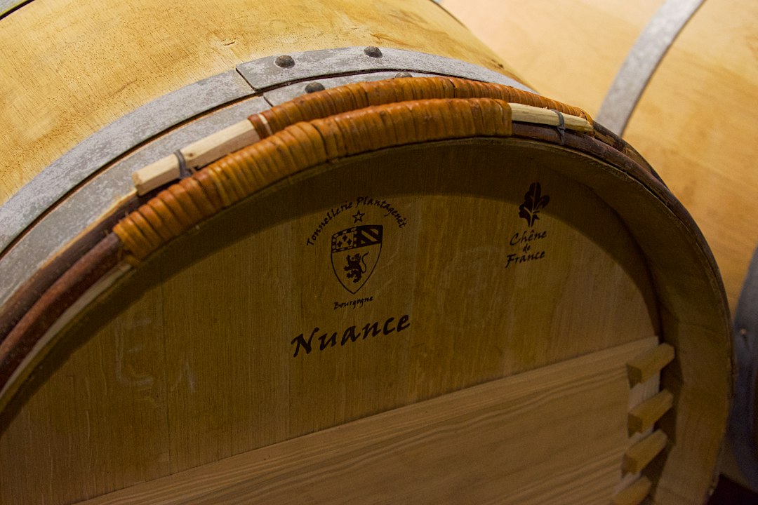 Château Margaux: Wein und Architektur im Médoc - 33460 Margaux-Cantenac | Secret World Trip Planner