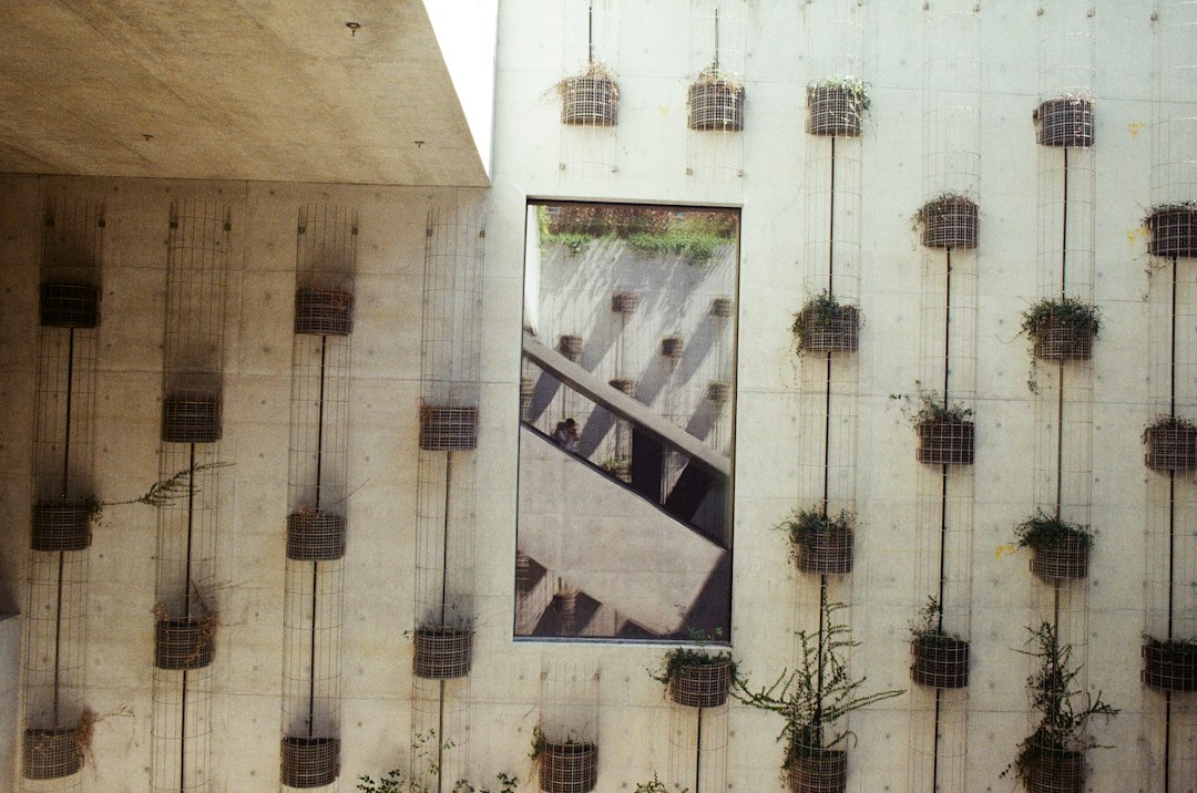 Discover Contemporary Art at Hong Kong's M+ Museum — West Kowloon
