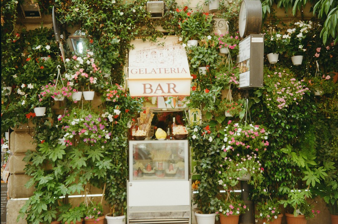 Lou Lim Ioc Garden: An Oasis in Macau — 10 Estr. de Adolfo Loureiro