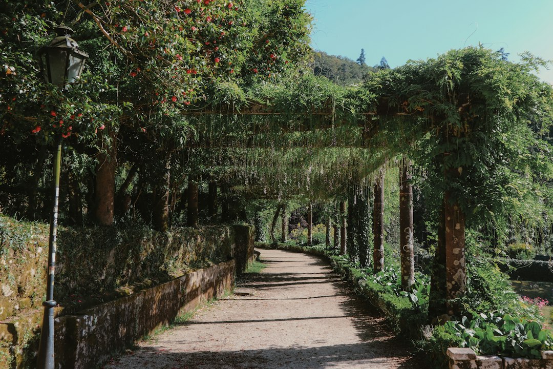 Lou Lim Ioc Garden: An Oasis in Macau - 10 Estr. de Adolfo Loureiro | Secret World Trip Planner