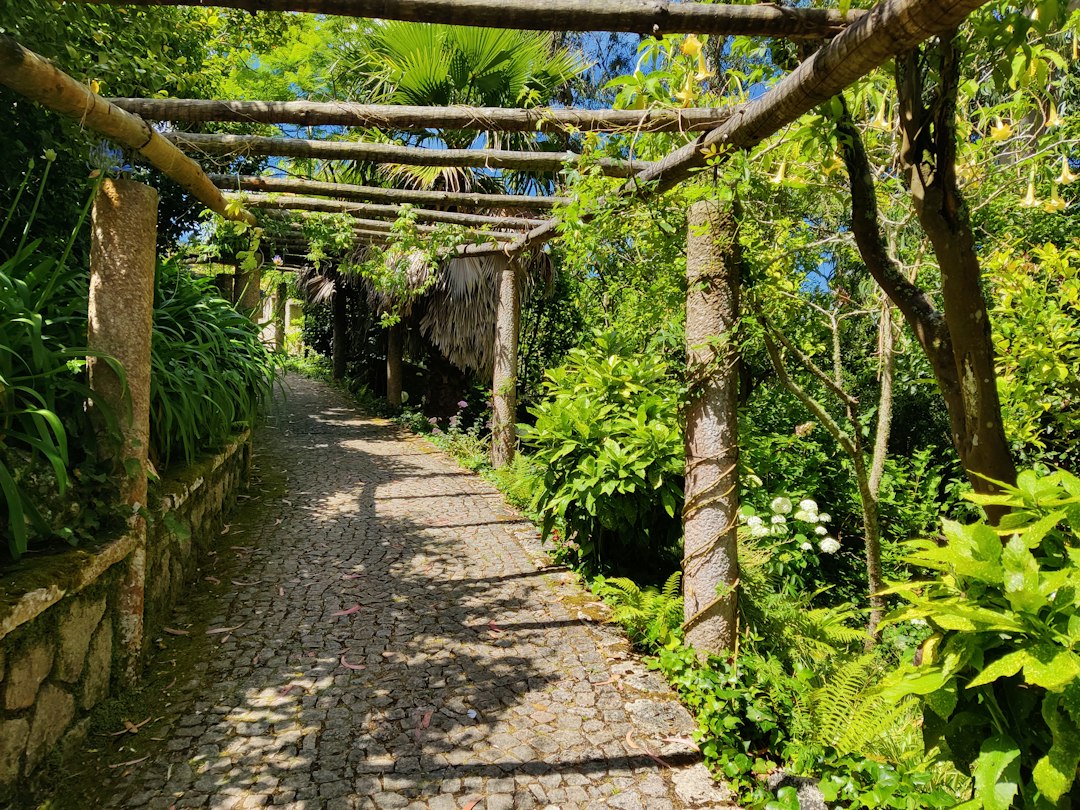 Il Giardino Lou Lim Ioc: Eine Oase in Macau - 10 Estr. de Adolfo Loureiro | Secret World Trip Planner