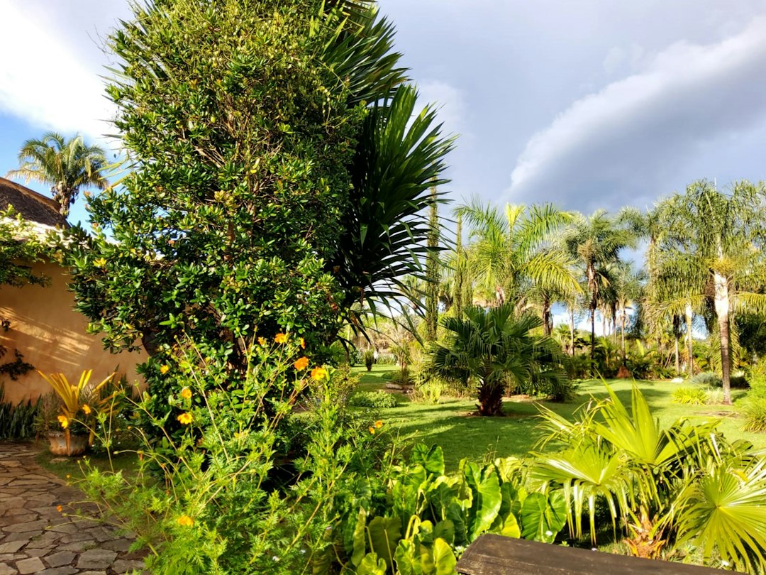 Il Giardino Lou Lim Ioc: Eine Oase in Macau - 10 Estr. de Adolfo Loureiro | Secret World Trip Planner