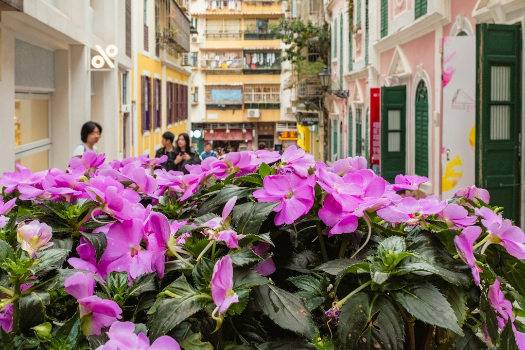 Discover Camoes Garden in Macau: A Hidden Paradise - de Macau | Secret World Trip Planner