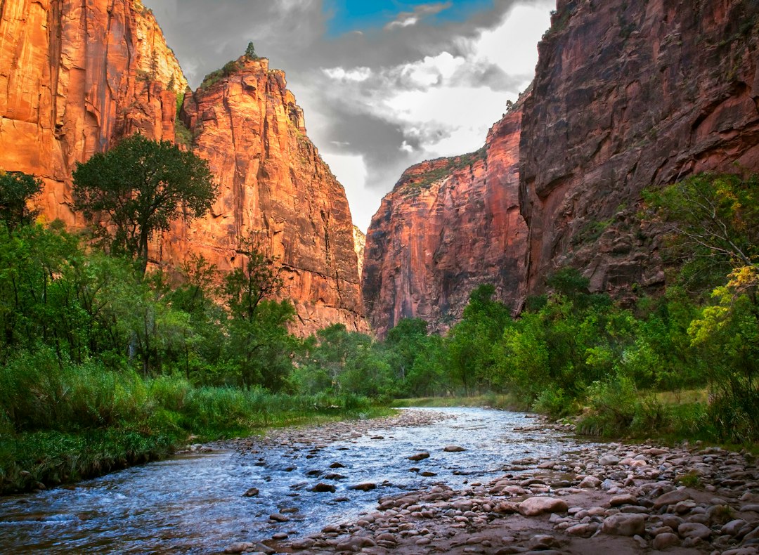 Die Narrows von Zion: Im Fluss zwischen Felsen wandern - Springdale | Secret World Trip Planner