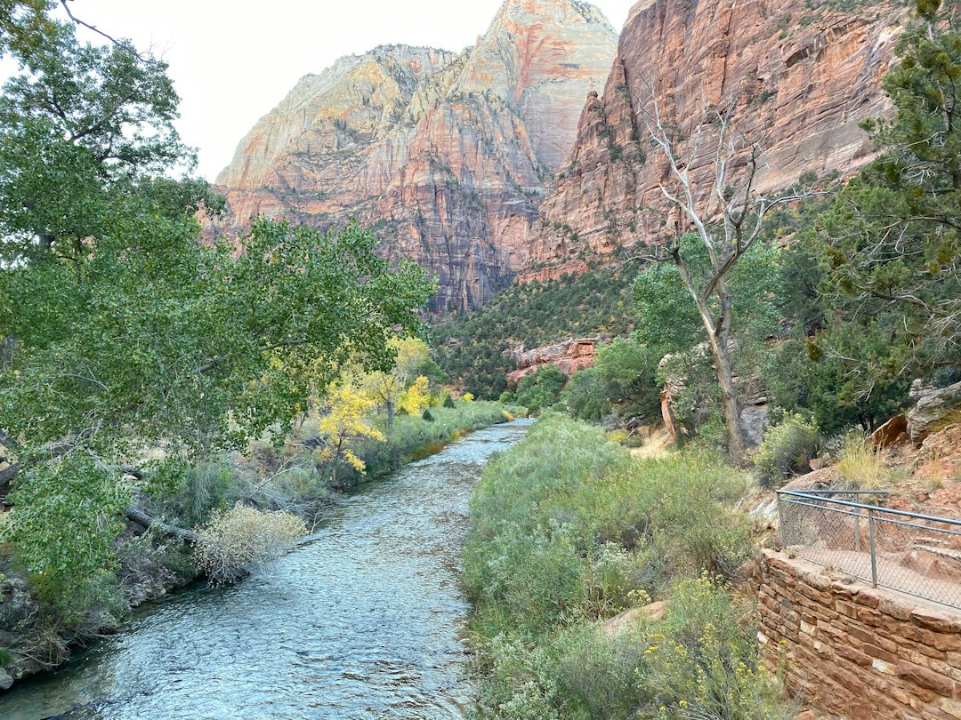 Die Narrows von Zion: Im Fluss zwischen Felsen wandern - Springdale | Secret World Trip Planner