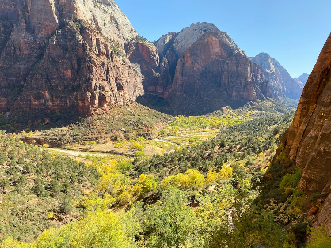 Die Narrows von Zion: Im Fluss zwischen Felsen wandern - Springdale | Secret World Trip Planner