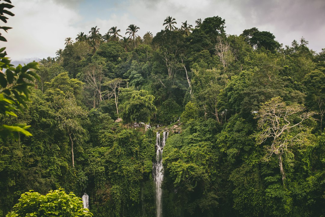 Sekumpul: Seven Waterfalls Up to 80m in Bali Jungle — Kota Singaraja