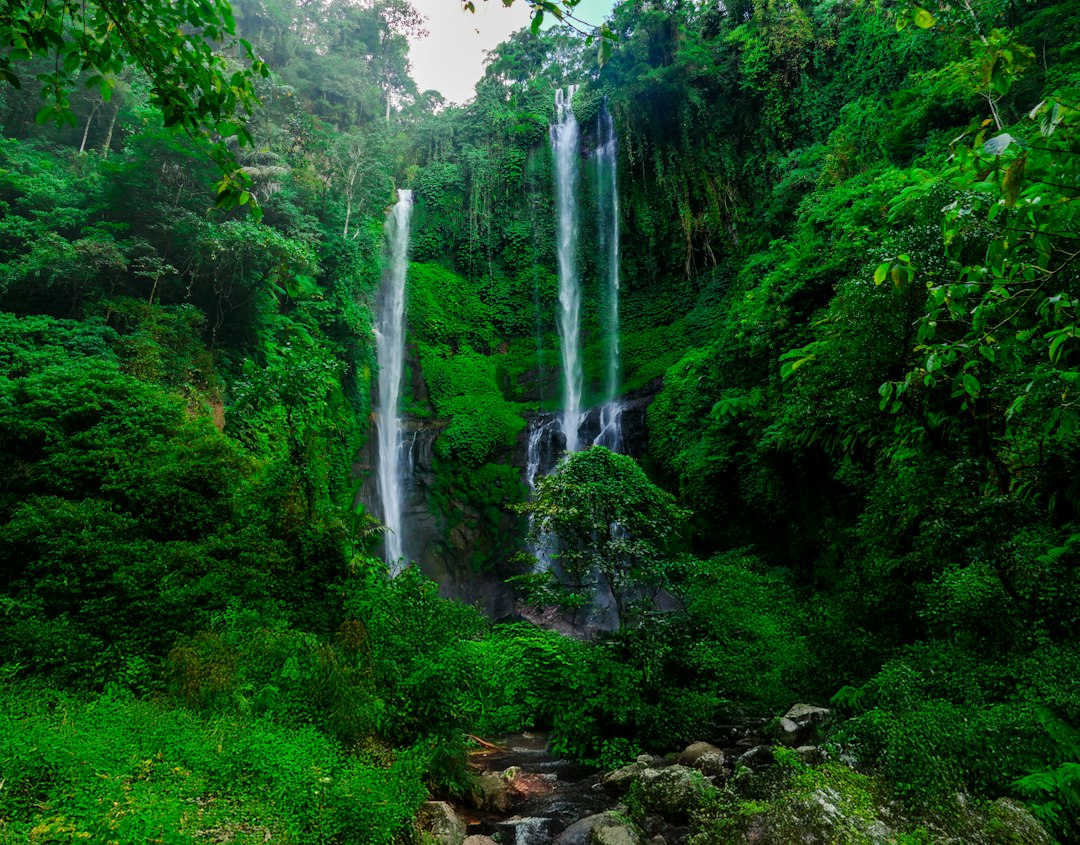 Sekumpul: Fünf Wasserfälle bis zu 80 Meter in Bali - Kota Singaraja | Secret World Trip Planner