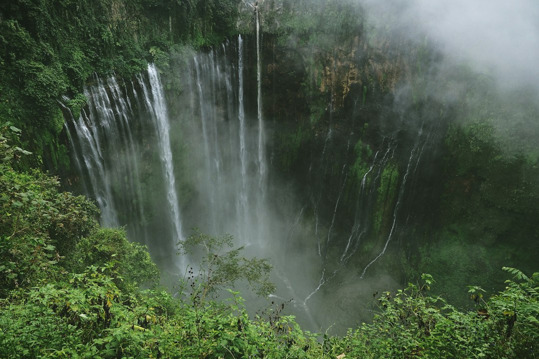 ʻAkaka Falls: The Stunning 135m Waterfall in Hawaii - Honomu | Secret World Trip Planner
