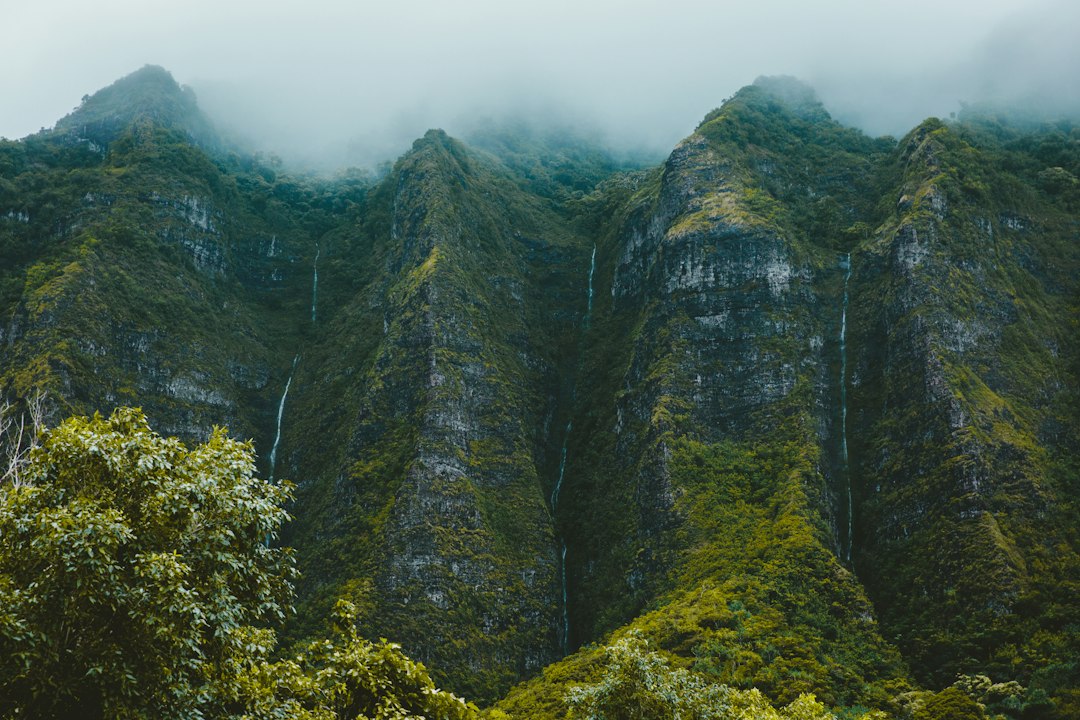 ʻAkaka Falls: Der 135 Meter hohe Wasserfall auf Hawaii - Honomu | Secret World Trip Planner