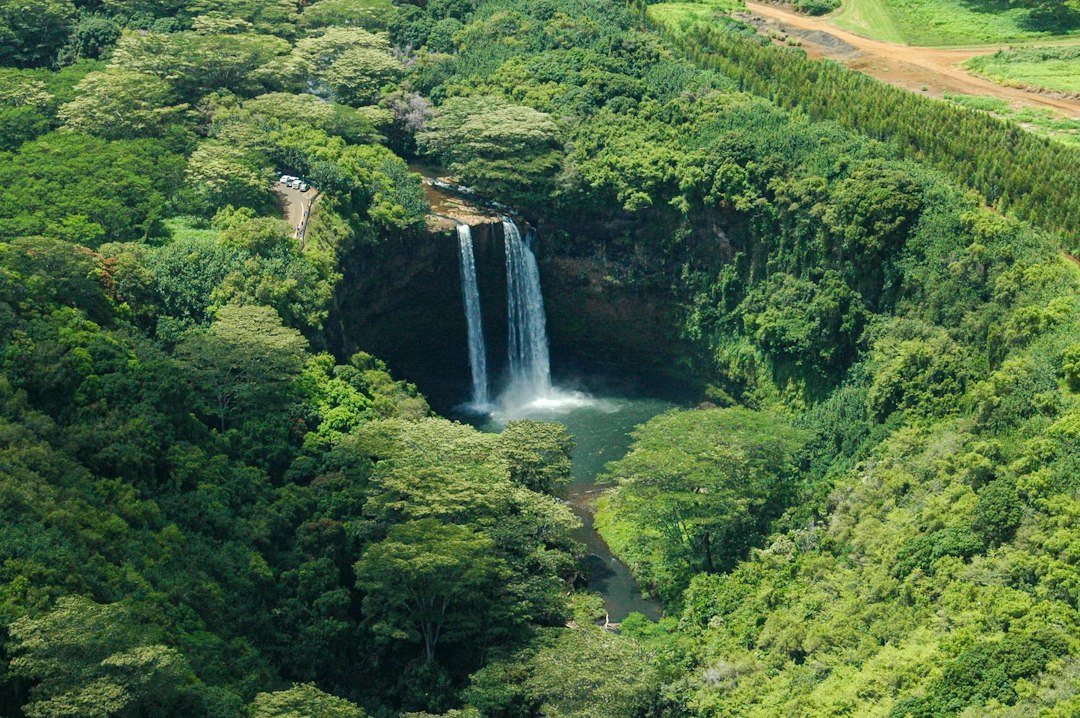 ʻAkaka Falls: Der 135 Meter hohe Wasserfall auf Hawaii - Honomu | Secret World Trip Planner