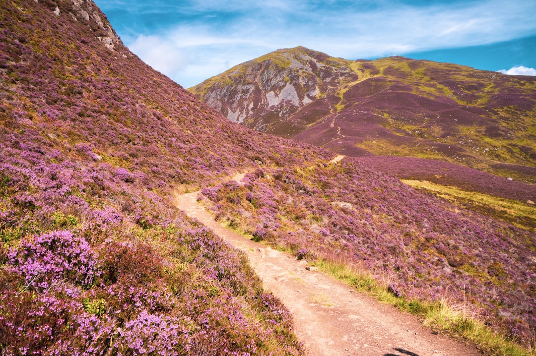 Cairngorms National Park - Ballater AB35 5YJ | Secret World Trip Planner