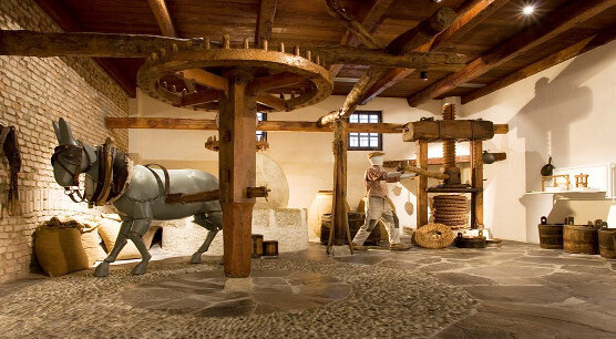 MOO Olive and Oil Museum - Rondissone | Secret World Trip Planner