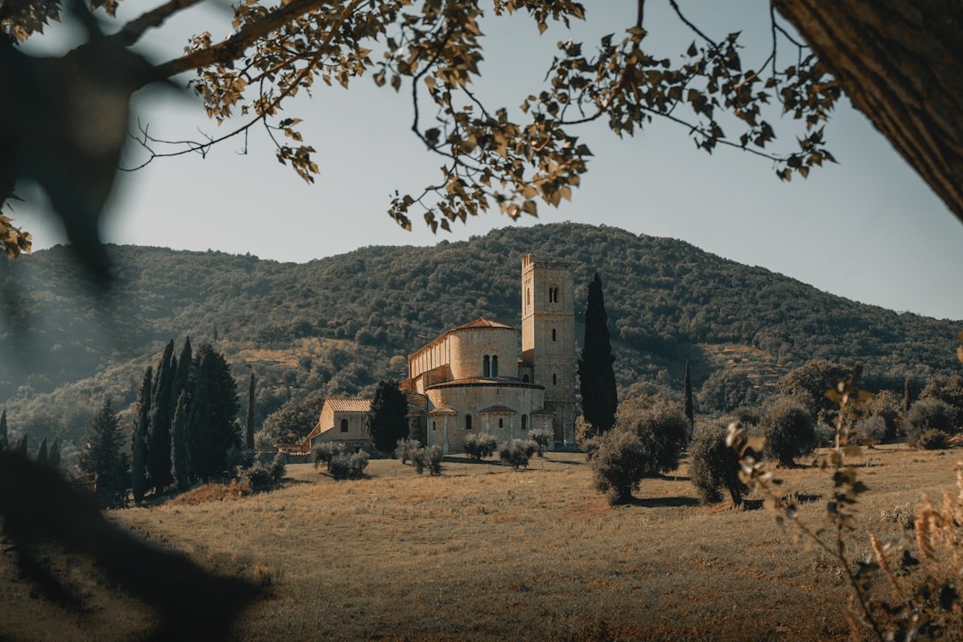 Úžasný západ slunce na vinicích Brunello di Montalcino - 53024 Montalcino SI | Secret World Trip Planner
