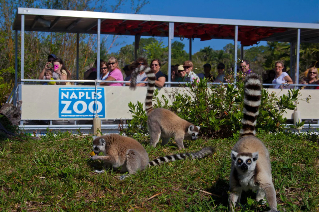 Neapels Zoo in den Karibischen Gärten - Naples | Secret World Trip Planner