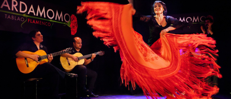 Flamenco in Granada — Granada