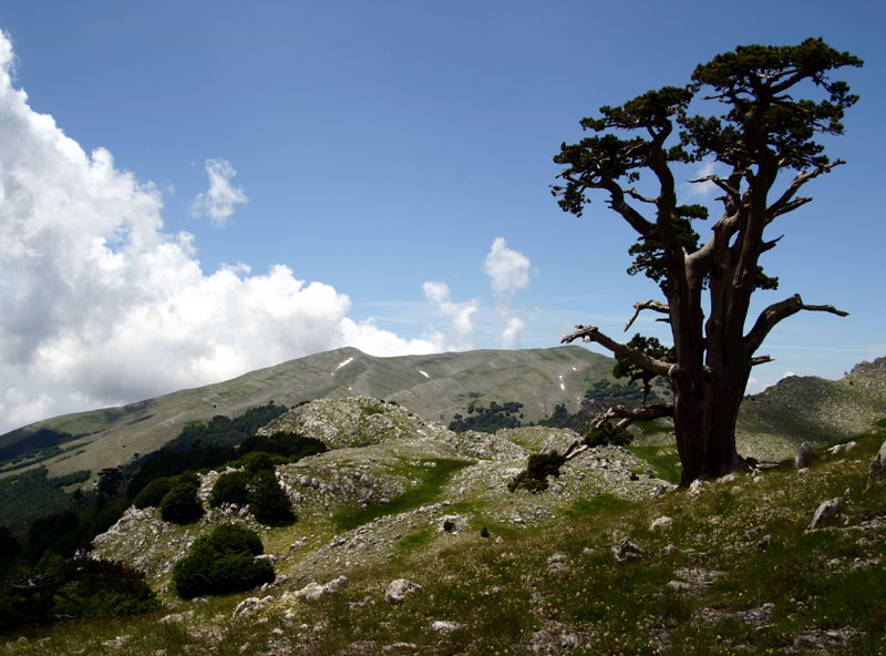 Pollino parkas - Terranova di Pollino | Secret World Trip Planner