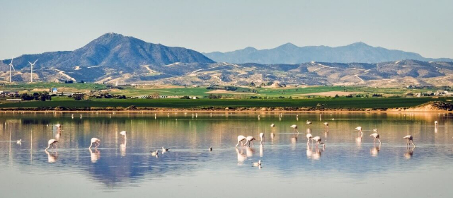 Lago salato di Larnaca - Larnaca | Secret World Trip Planner