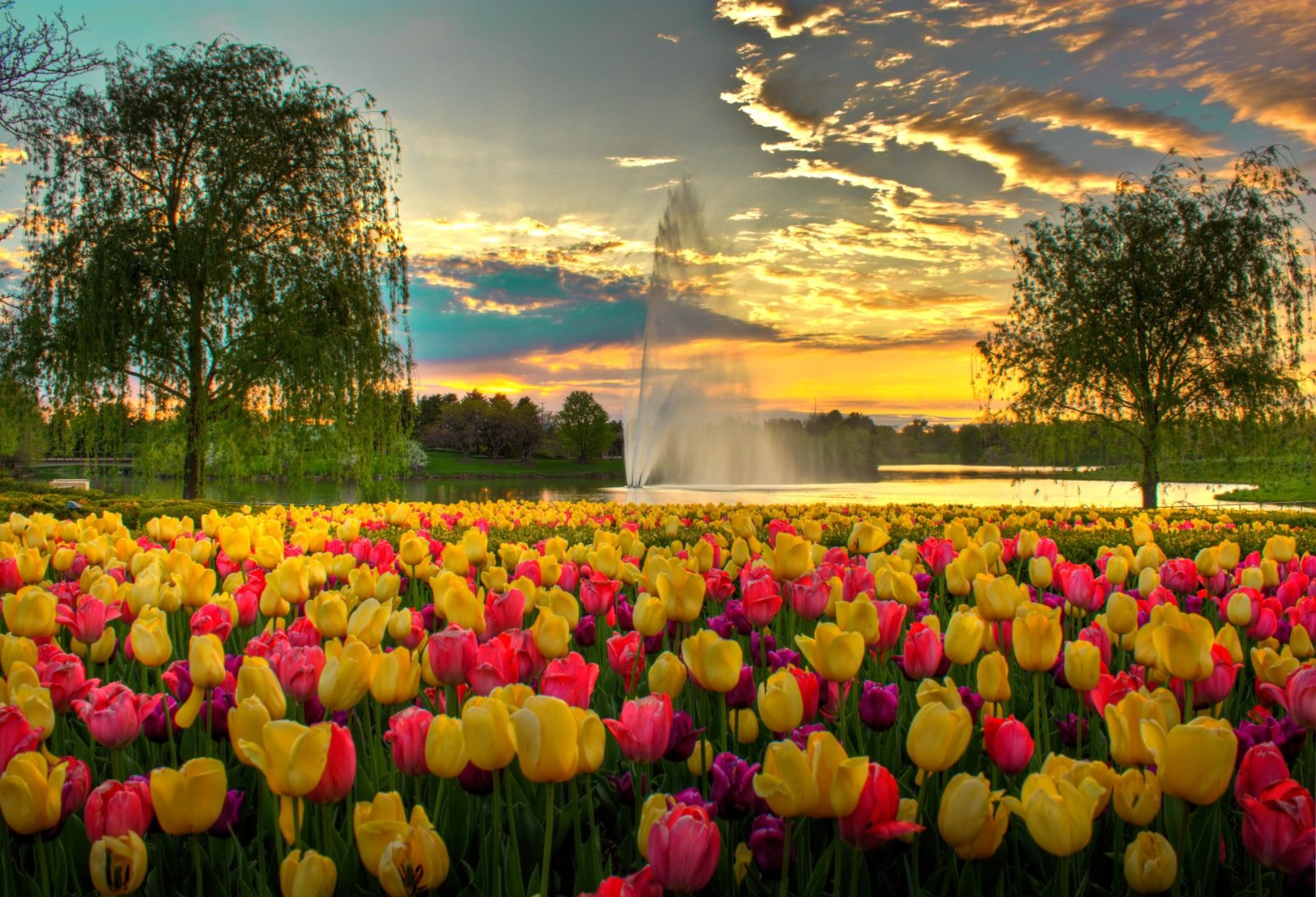 The Chicago Botanic Garden - Glencoe | Secret World Trip Planner