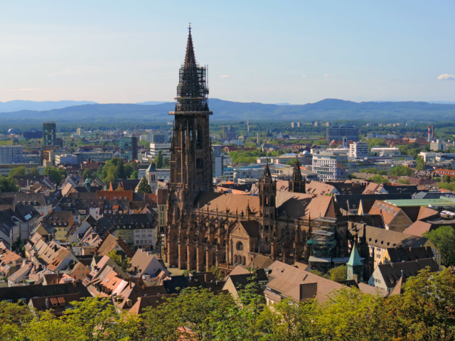 Cattedrale di Friburgo — Freiburg im Breisgau