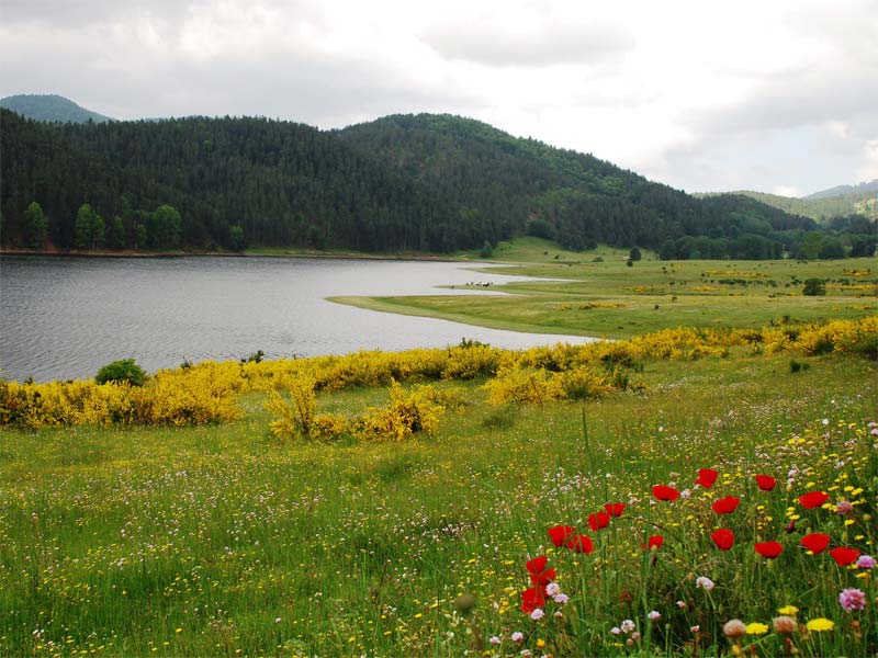jezero Ampollino - Lago Ampollino | Secret World Trip Planner