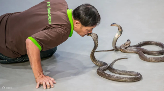 Siam Serpentarium — Khet Lat Krabang