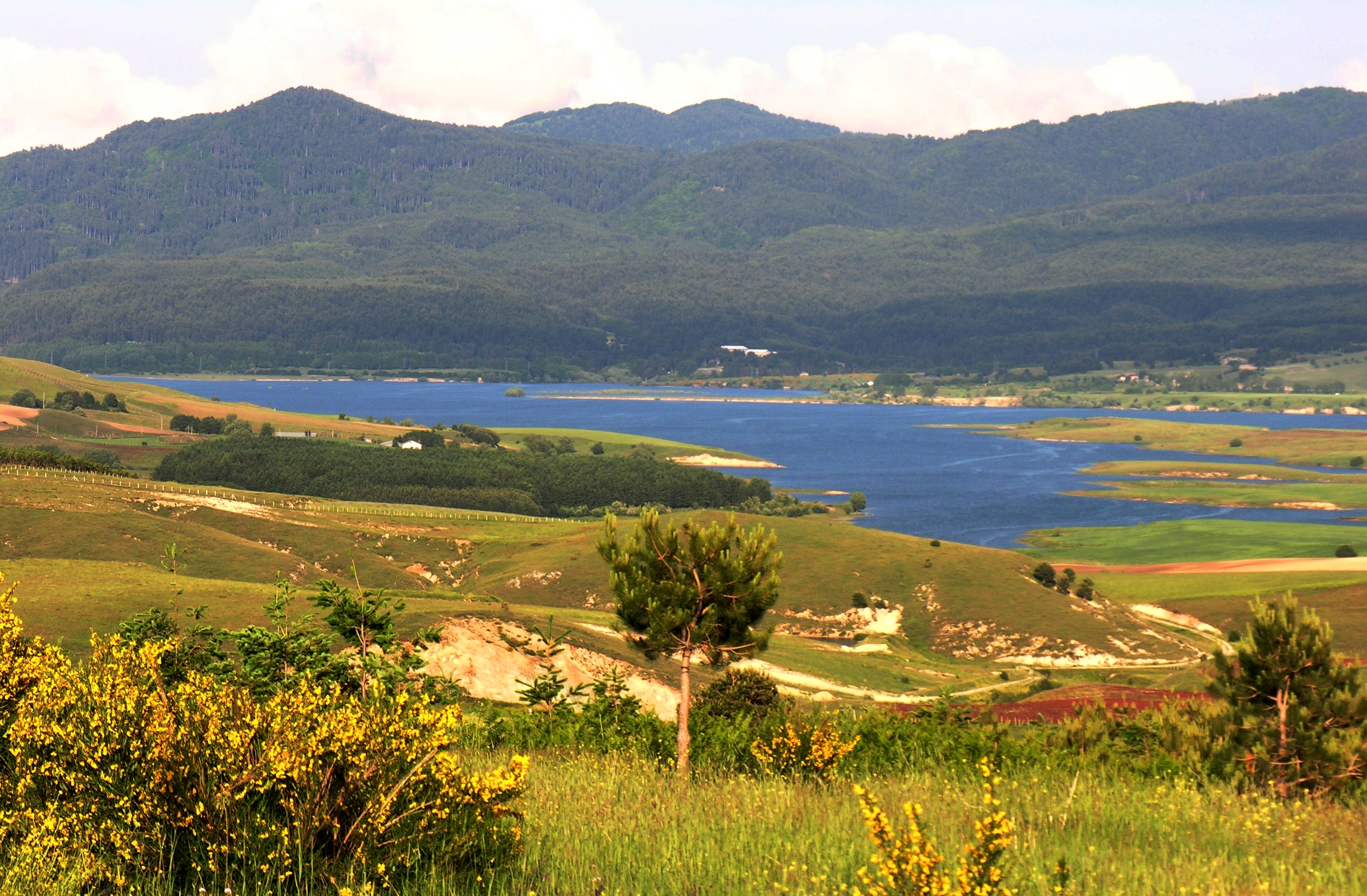 Danau Cecita - Lago di Cecita | Secret World Trip Planner