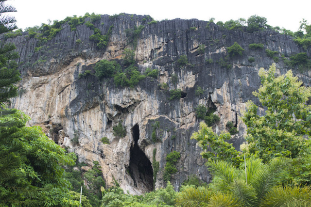Fledermaushöhlen im Khao Yai-Nationalpark - Provincia di Nakhon Ratchasima | Secret World Trip Planner