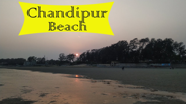 Chandipur Beach: Nature's Hide and Seek Delight in Odisha - Balasore | Secret World Trip Planner