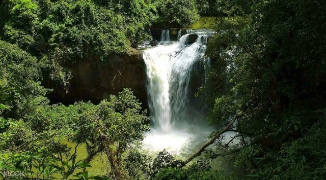Nationalpark Khao Yai - Provincia di Nakhon Ratchasima | Secret World Trip Planner