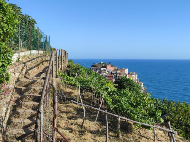 Njia ya Bluu - 19016 Vernazza SP | Secret World Trip Planner