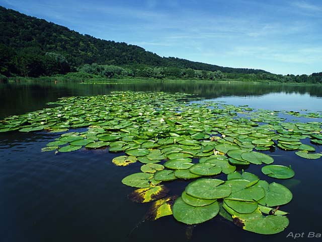 मोंटिचियो की झीलें - Laghi di Monticchio | Secret World Trip Planner