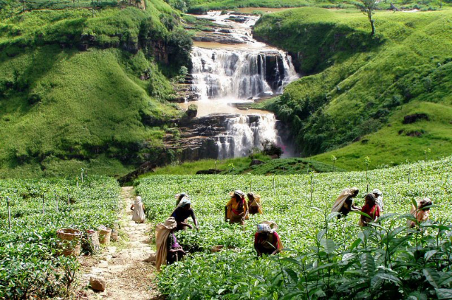St. Clair’s Falls: the Little Niagara Falls — Thalawkele
