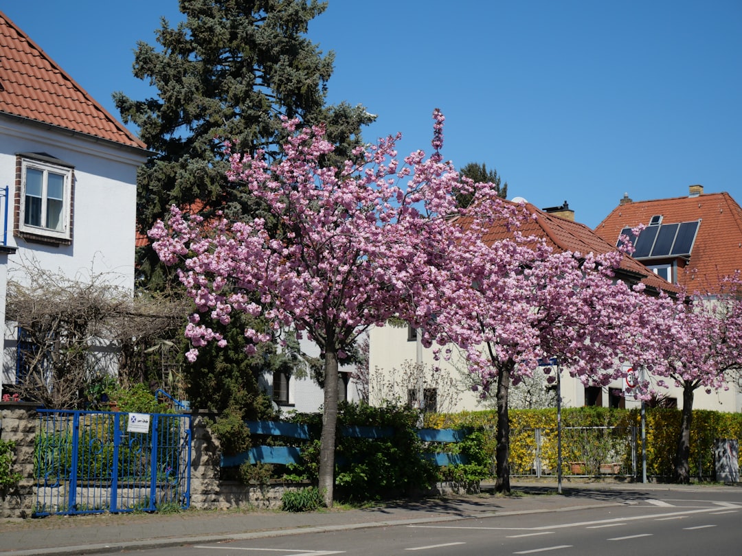 Schwarzwälder Kirschtorte in Leipzig: Kaffee & Torte - Leipzig | Secret World Trip Planner