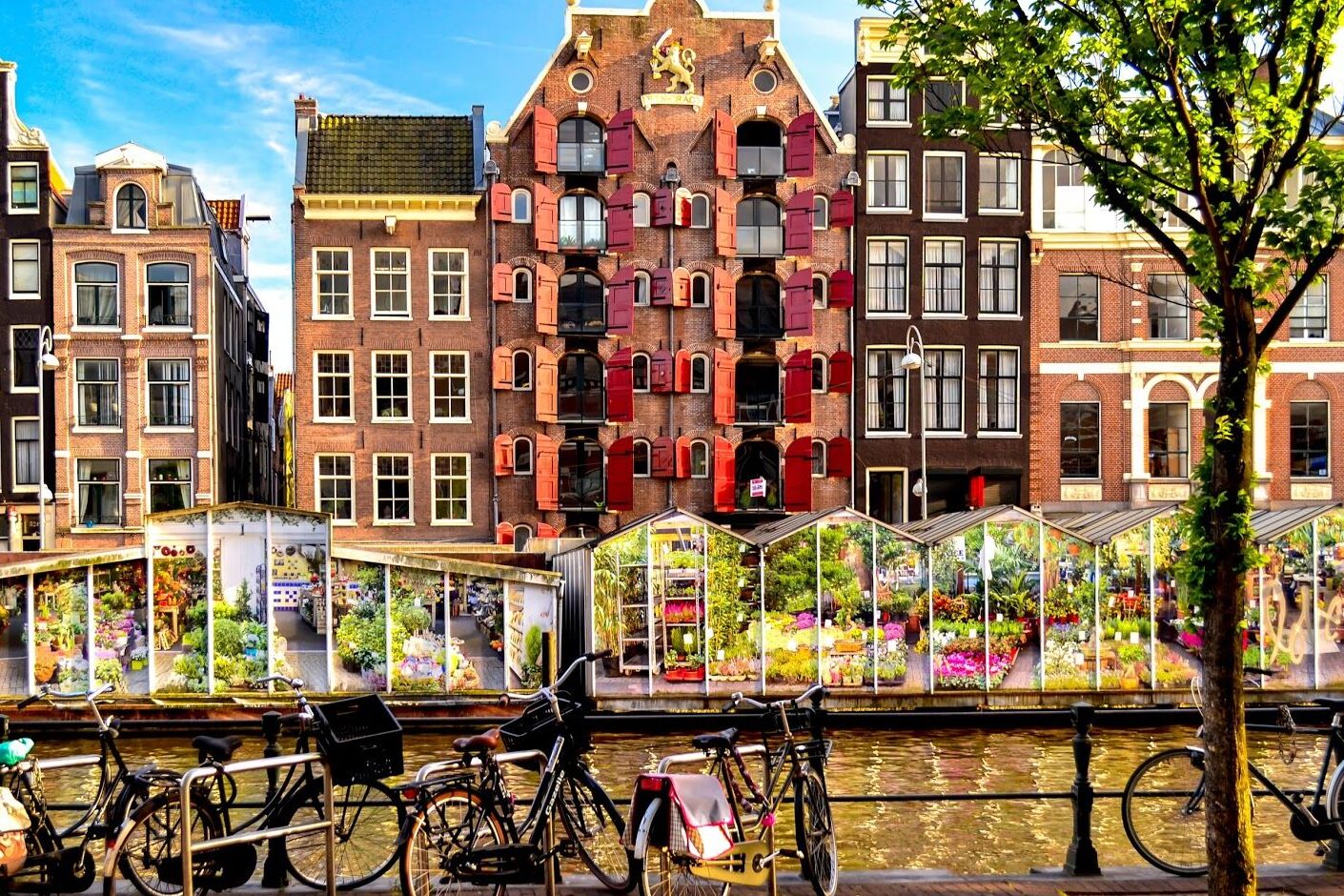 The Amsterdam Flower Market - Amsterdam | Secret World Trip Planner