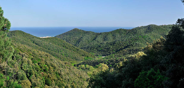 Parc del Montnegre — Dosrius