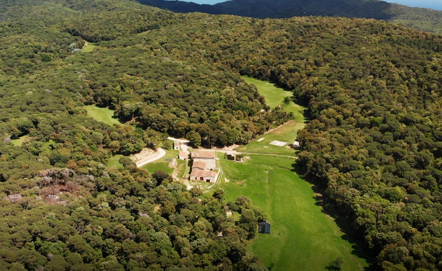 Parc del Montnegre - Dosrius | Secret World Trip Planner
