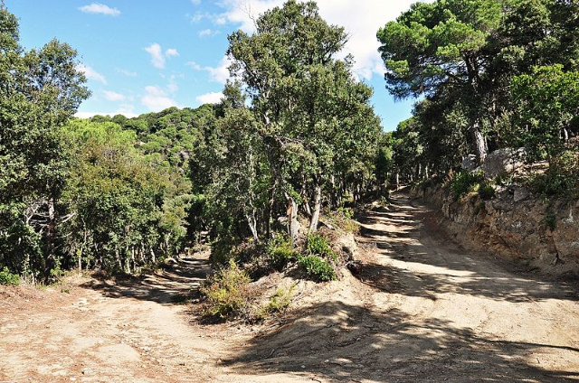 Parc del Montnegre - Dosrius | Secret World Trip Planner