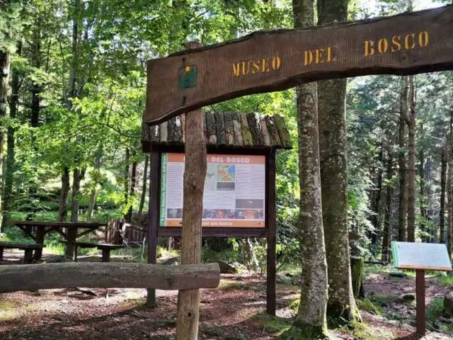 Woodland-Museum — Lago delle Lame