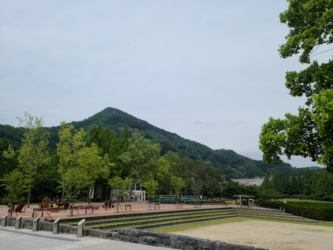 Seoul: Samneung-Park - Gangnam-gu | Secret World Trip Planner