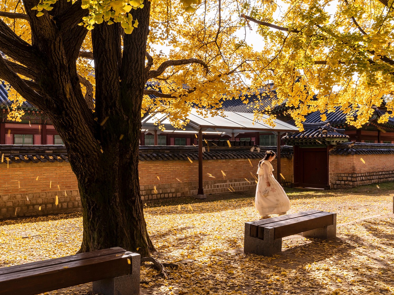 Seoul | Gyeongbok-gung-Palast - Jongno-gu | Secret World Trip Planner