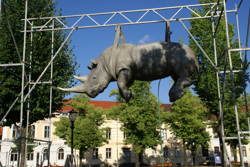 Hängendes Nashorn - Potsdam | Secret World Trip Planner