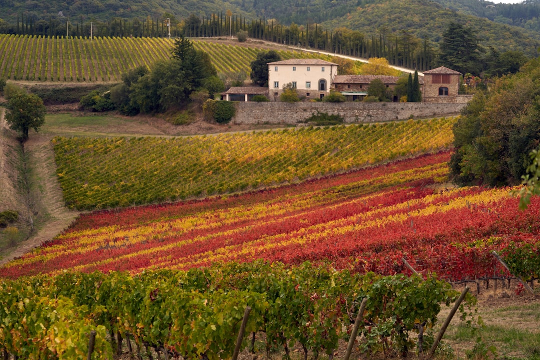 Толгод, эртний тосгон, усан үзмийн: дал доржия - Pienza | Secret World Trip Planner