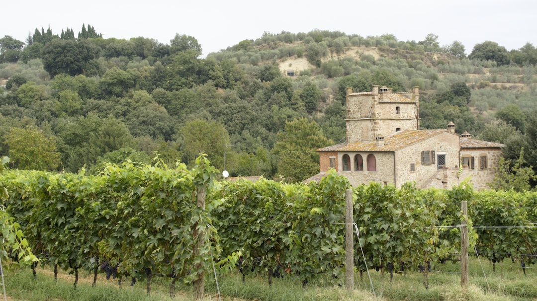 Толгод, эртний тосгон, усан үзмийн: дал доржия - Pienza | Secret World Trip Planner