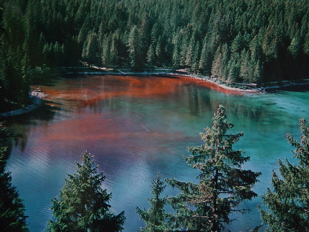 Lake Tovel - Lago di Tovel | Secret World Trip Planner
