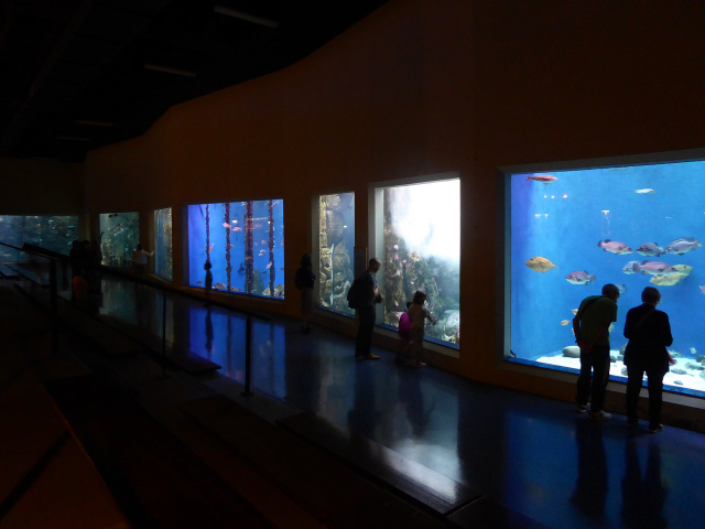 Aquarium Finisterrae - A Coruña | Secret World Trip Planner