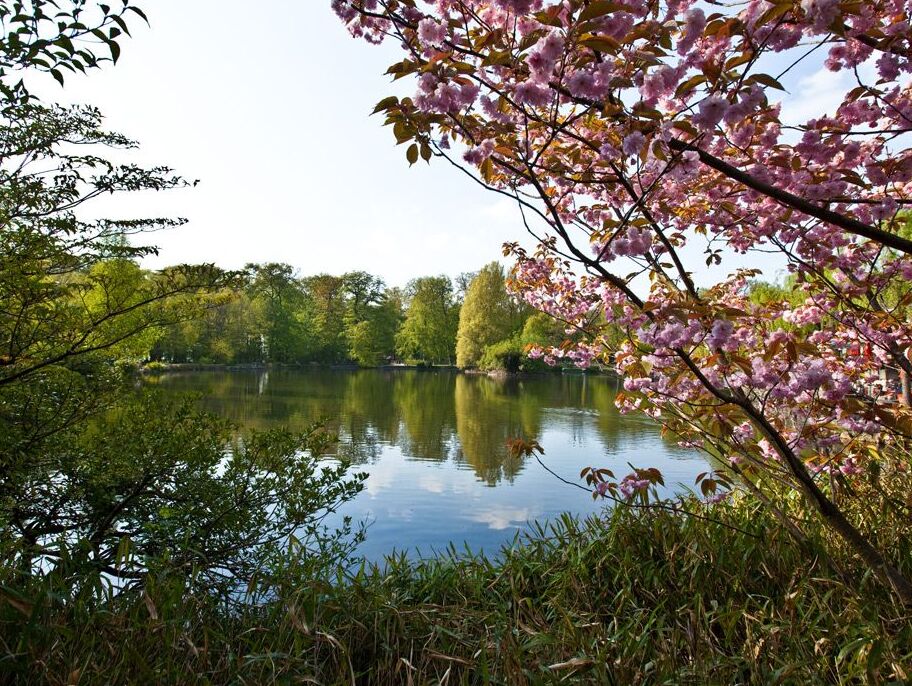 Sauvabelin Park in Luzern - Losanna | Secret World Trip Planner