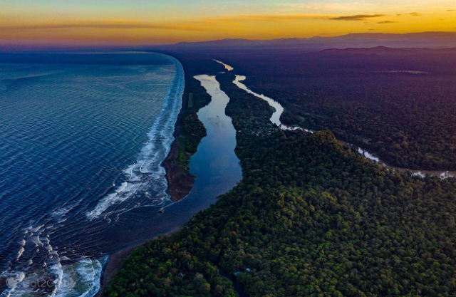 Tortuguero National Park — Roxana