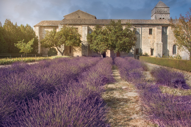 Van Gogh and the Monastery of Saint-Paul-de-Mausole — Saint-Rémy-de-Provence