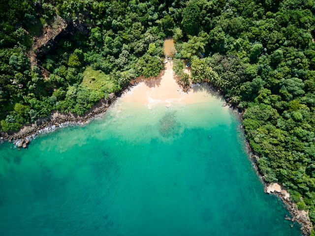 Dschungel Strand — Jungle Beach